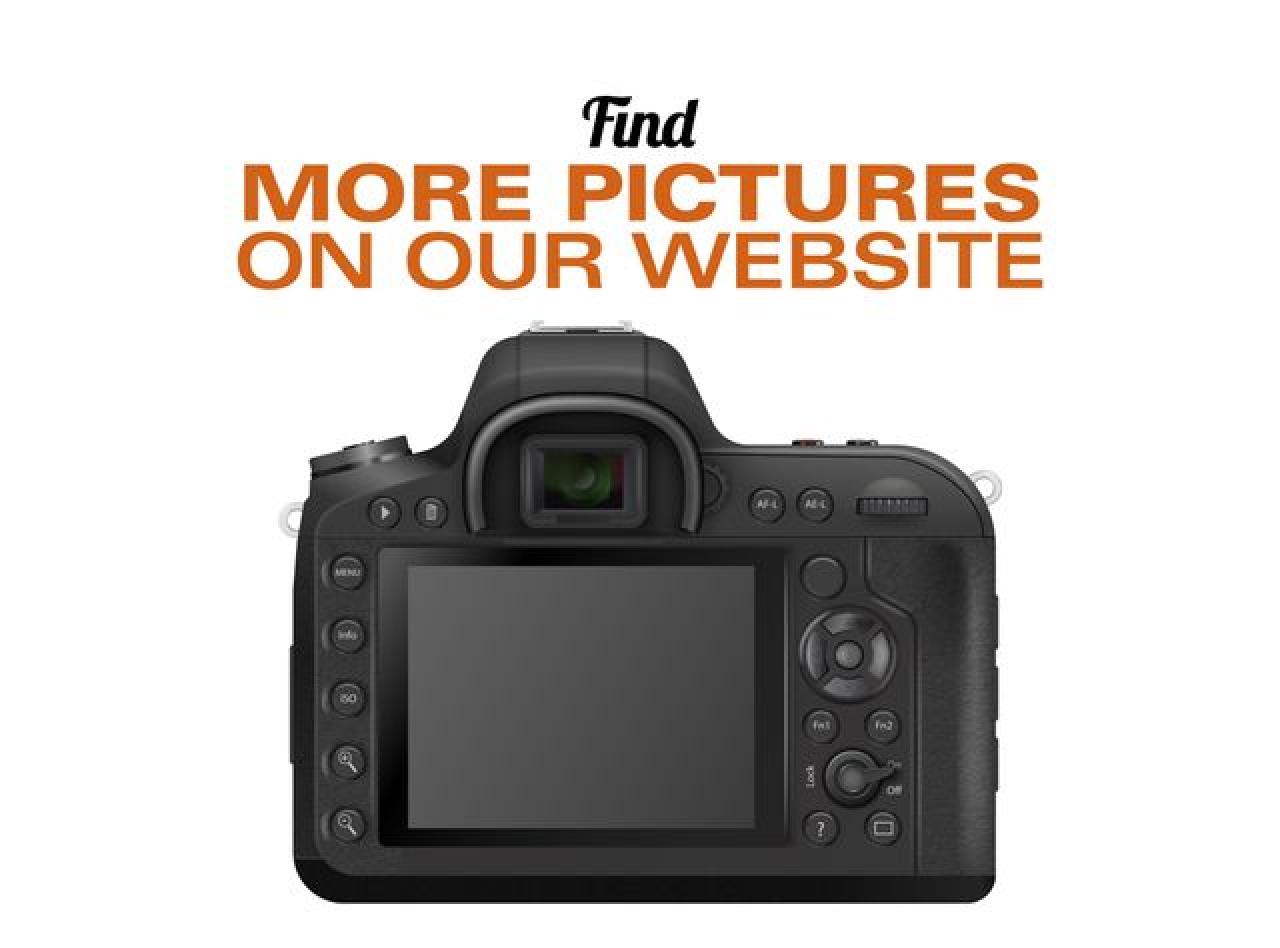 2015 DODGE Grand caravan VIN 2C4RDGCG7FR584828 photo 4