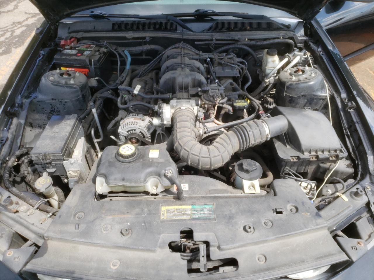 2009 FORD Mustang VIN 1ZVHT84N895118292 photo 7
