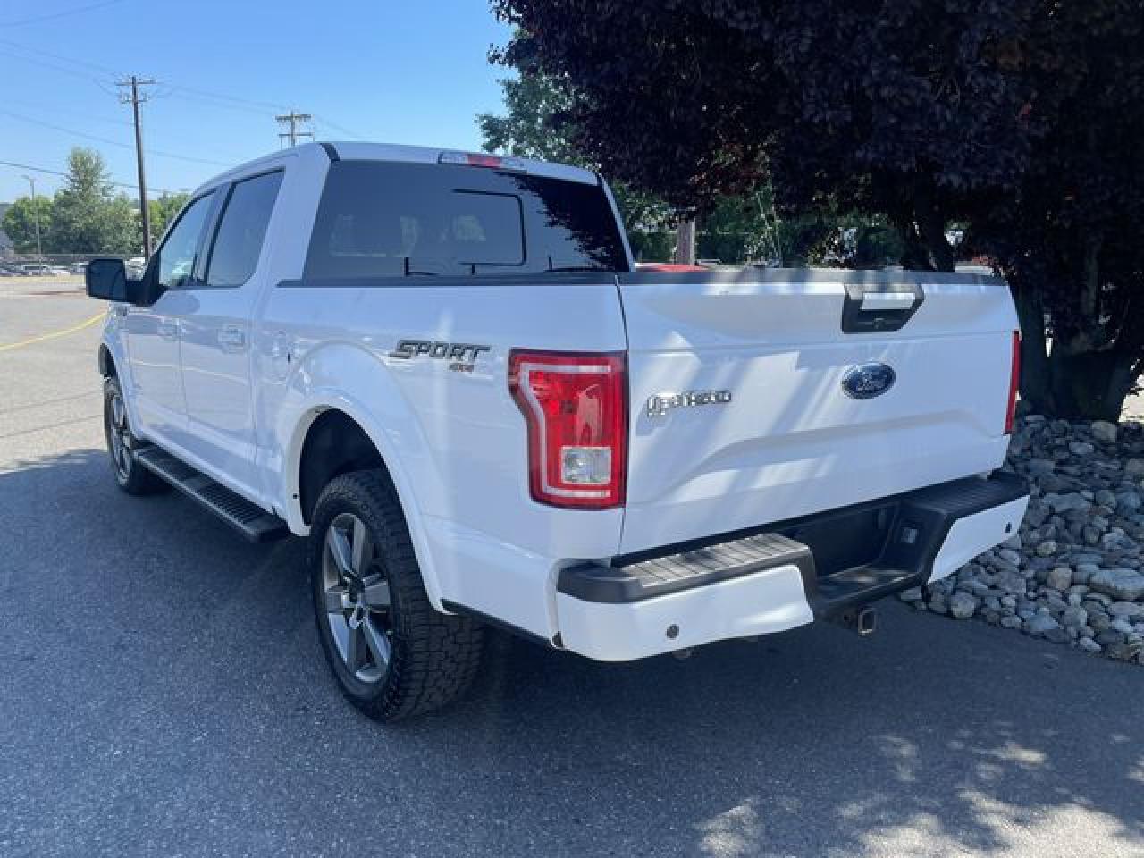 2017 Ford F-150 VIN 1FTEW1EG1HKD13736 photo 5