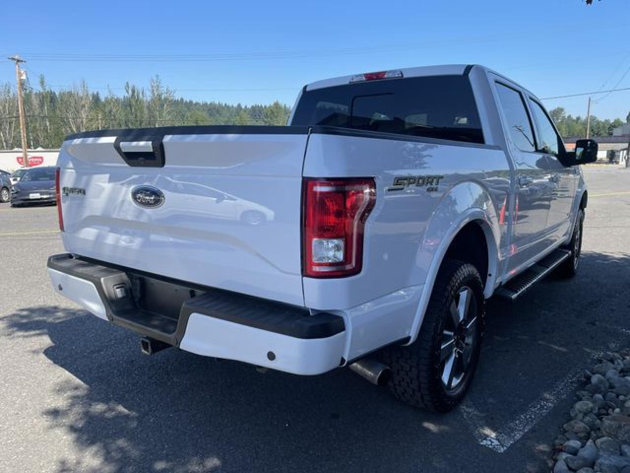 2017 Ford F-150 VIN 1FTEW1EG1HKD13736 photo 9