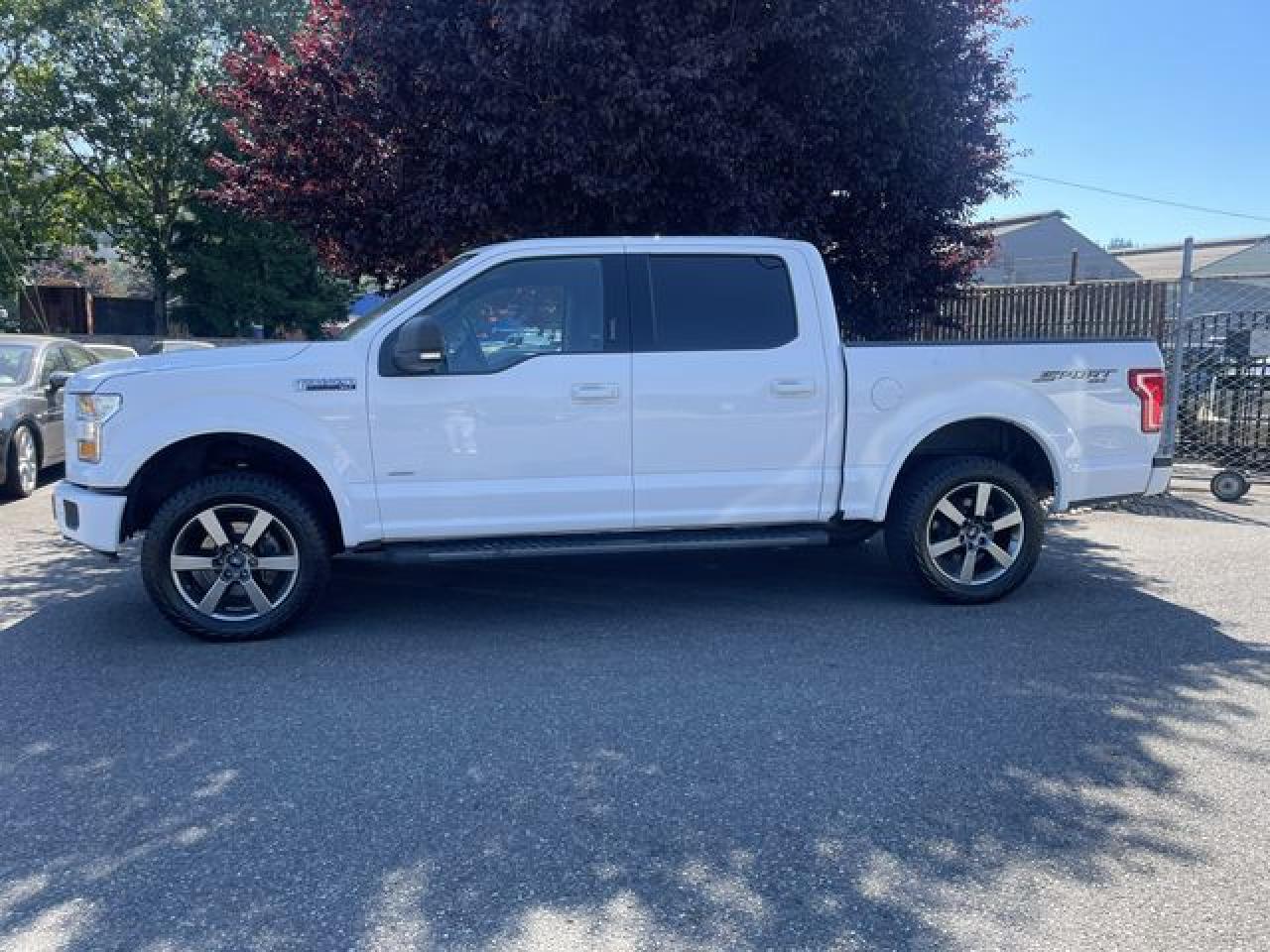 2017 Ford F-150 VIN 1FTEW1EG1HKD13736 photo 3