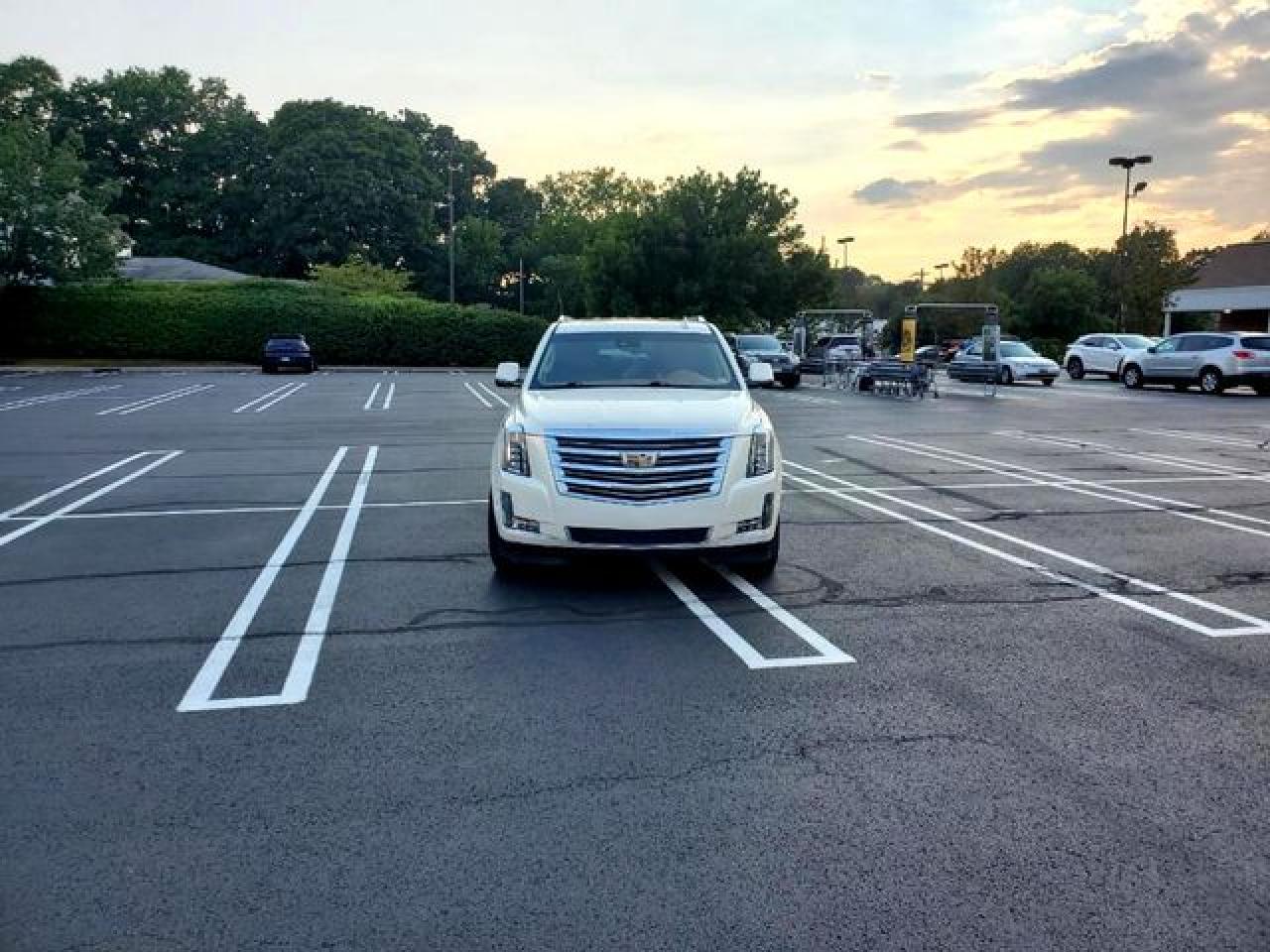 2016 Cadillac Escalade VIN 1GYS3KKJ1GR375199 photo 5