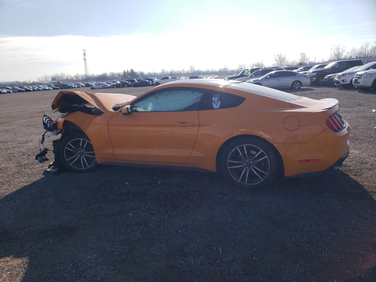 2019 FORD Mustang VIN 1FA6P8TH7K5103286 photo 2
