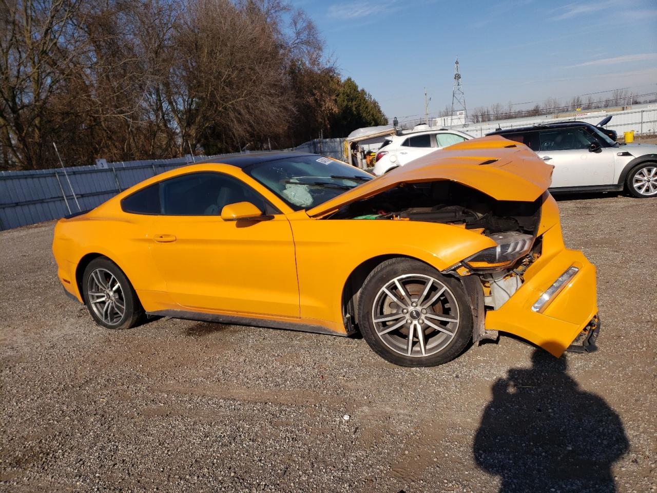 2019 FORD Mustang VIN 1FA6P8TH7K5103286 photo 4
