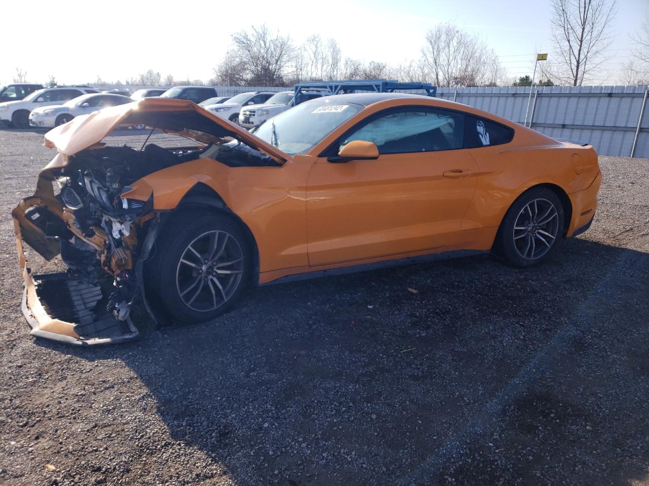 2019 FORD Mustang VIN 1FA6P8TH7K5103286 photo 1