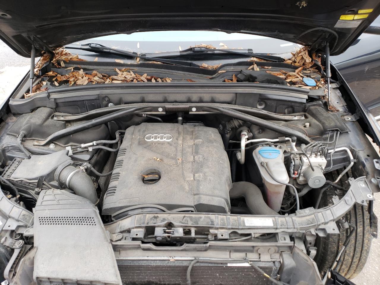 2013 Audi Q5 VIN WA1CFAFP1DA071613 photo 12