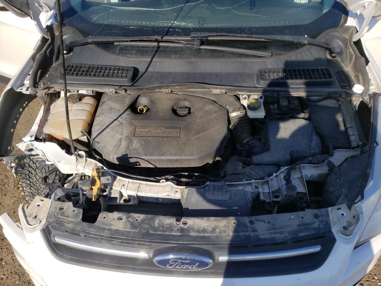 2014 FORD Escape VIN 1FMCU9G9XEUB66869 photo 12