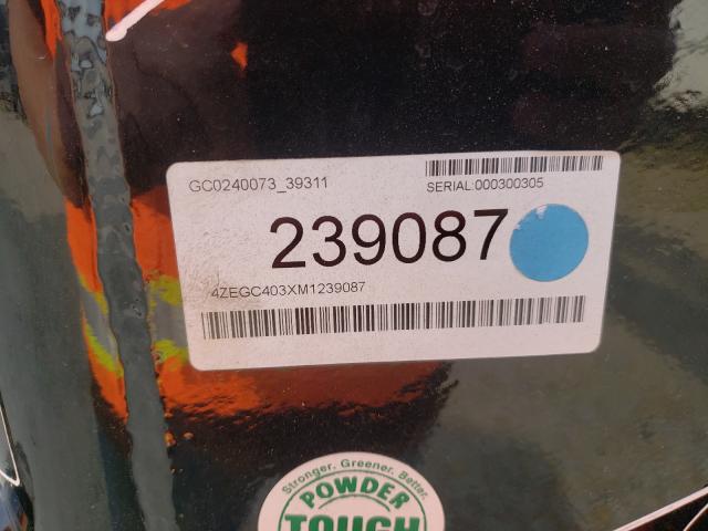 2021 OTHER All other VIN 4ZEGC403XM1239087 photo 10
