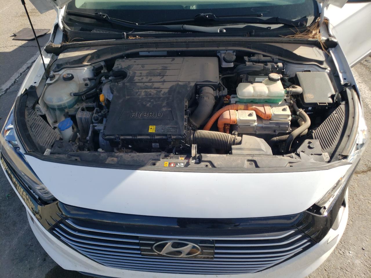 2019 HYUNDAI Ioniq VIN KMHC75LC4KU159946 photo 11