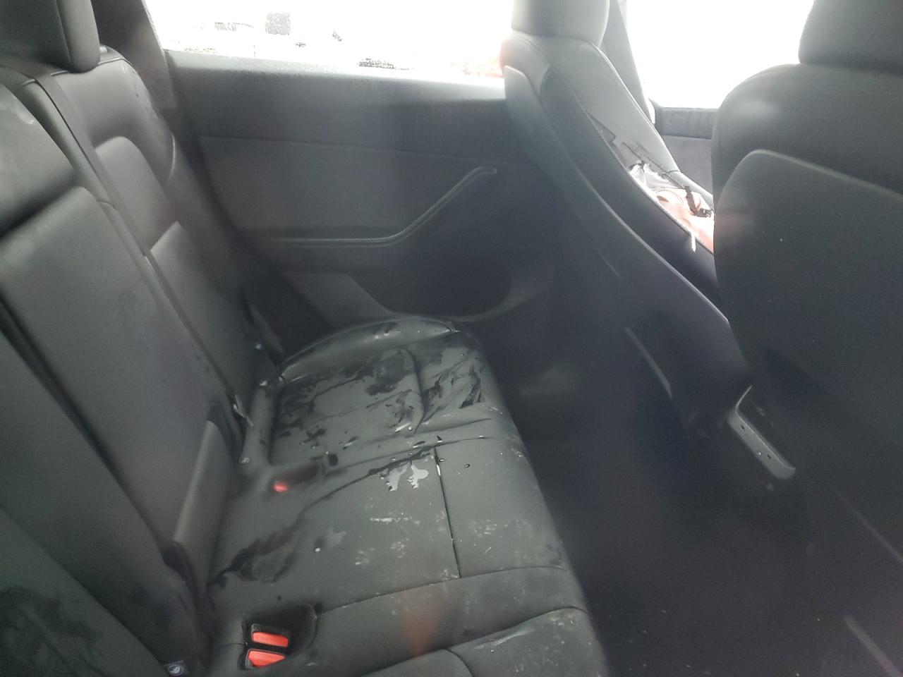 2025 Model y VIN 7SAYGDEE7SA360073 photo 10
