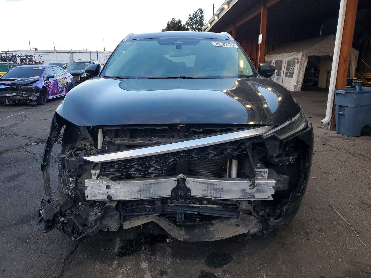 2023 Infiniti Qx60 VIN 5N1DL1FS1PC368831 photo 5