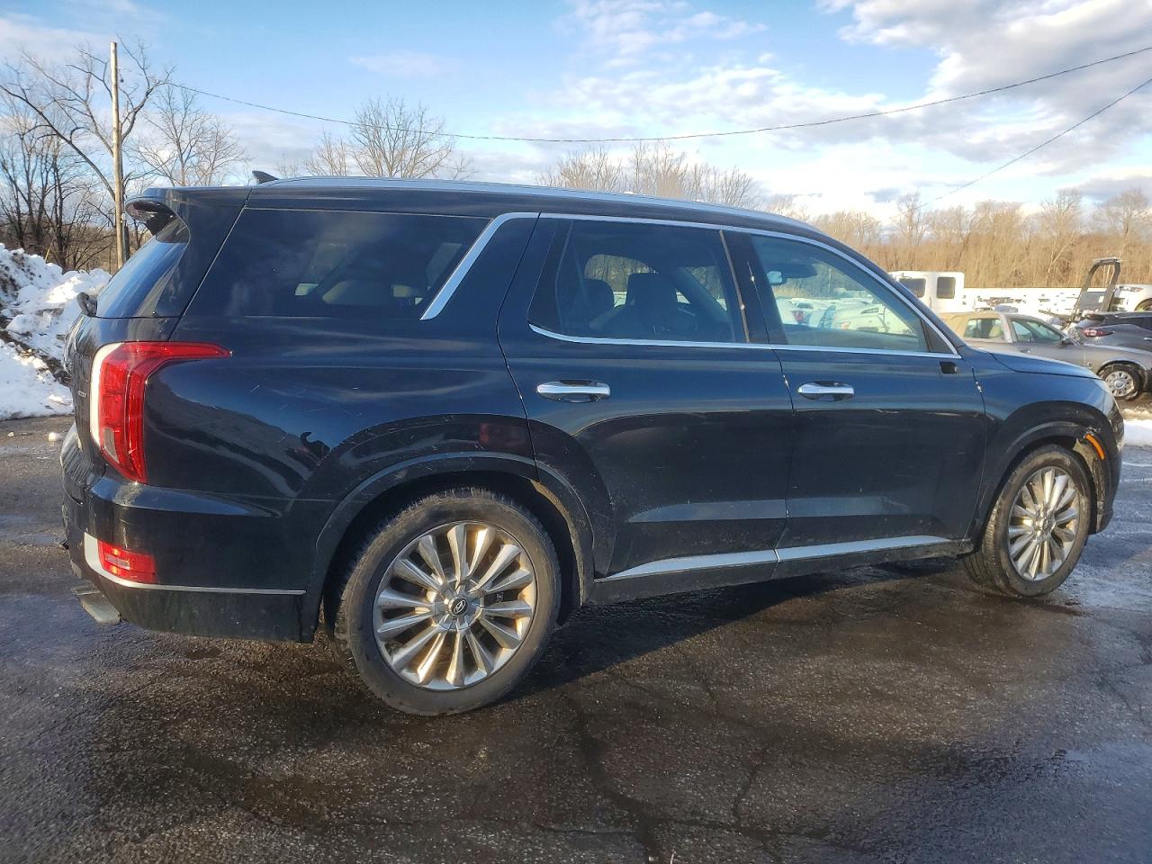 2020 Hyundai Palisade VIN KM8R5DHE6LU076962 photo 3