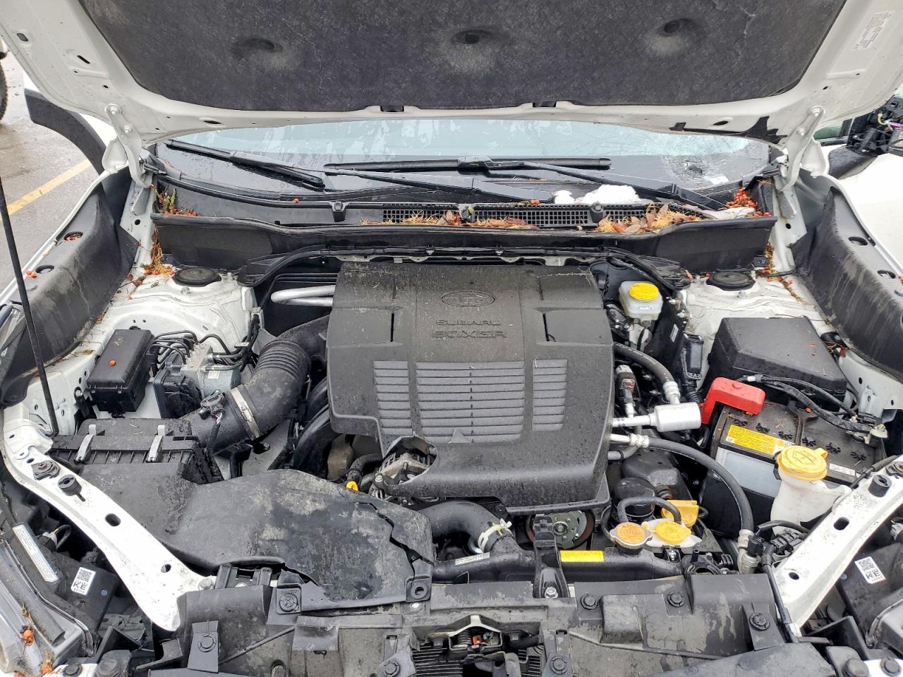 2024 Subaru Forester VIN JF2SKAJC8RH524725 photo 12