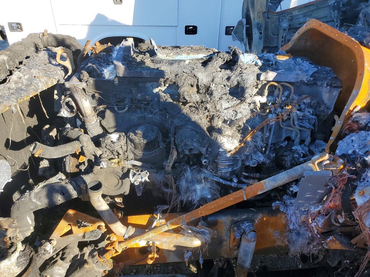 2020 FREIGHTLINER All other VIN 3AKJHHDR3LSLR0631 photo 7