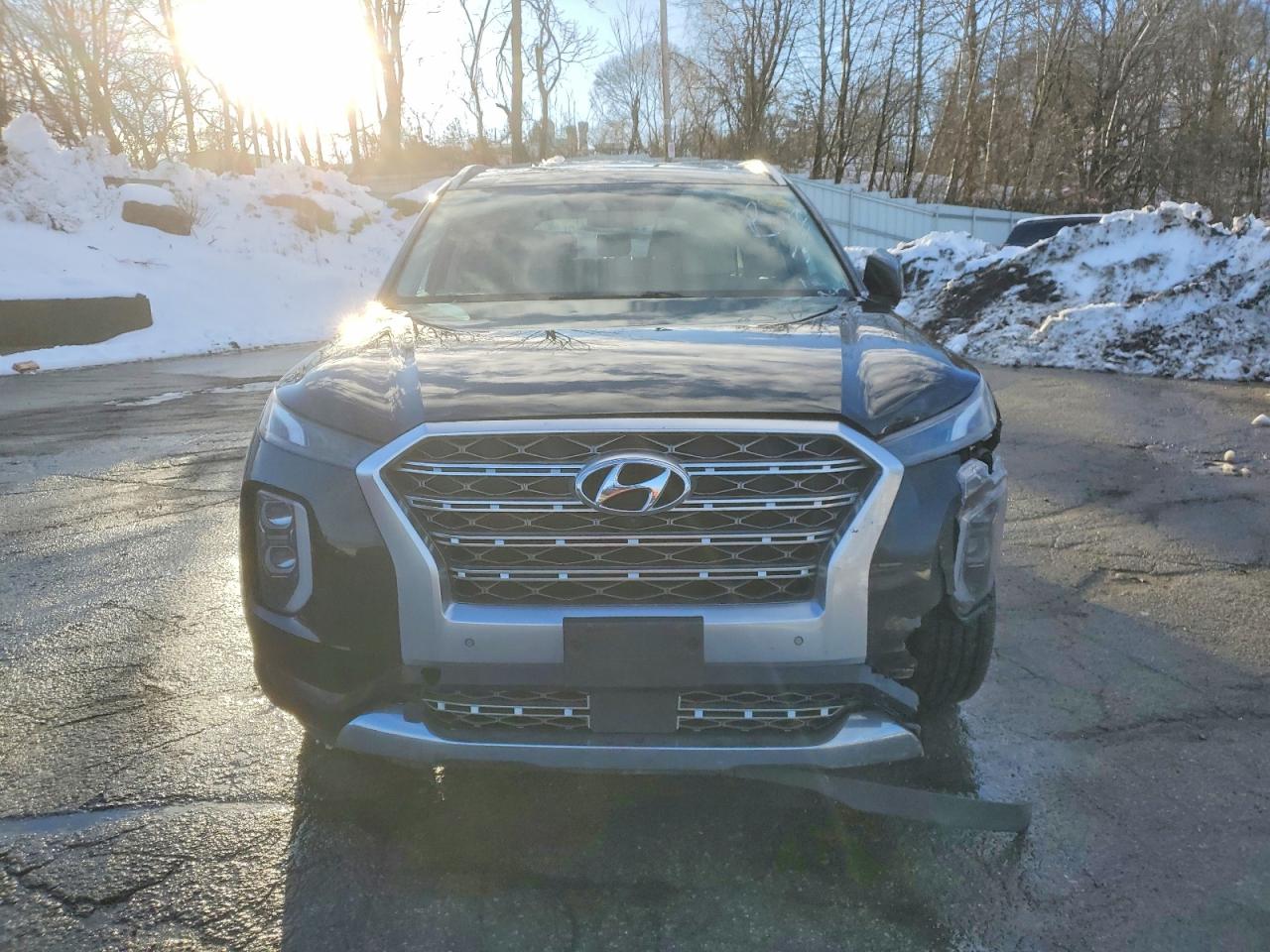 2020 Hyundai Palisade VIN KM8R5DHE6LU076962 photo 5