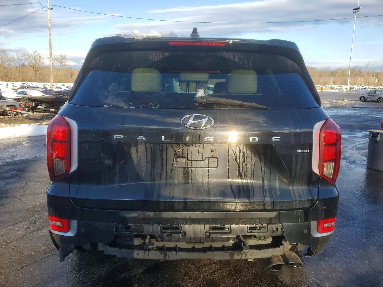 2020 Hyundai Palisade VIN KM8R5DHE6LU076962 photo 6