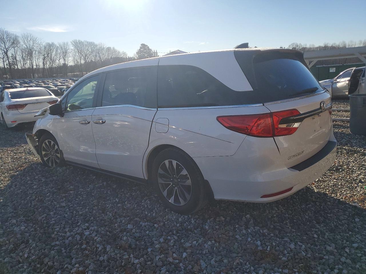 2024 Honda All models VIN 5FNRL6H62RB070382 photo 2