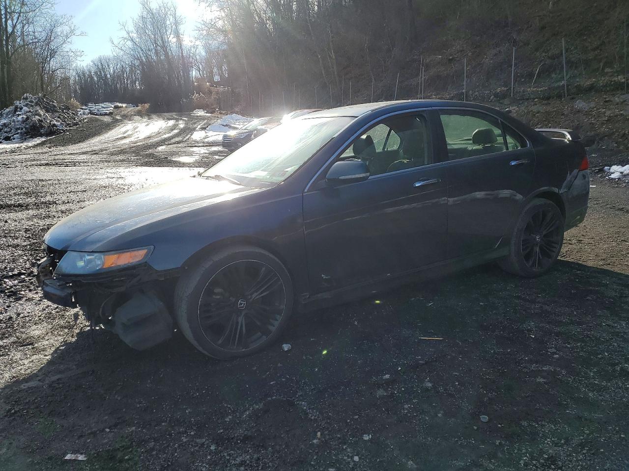 2007 Acura Tsx VIN JH4CL96847C002427 photo 1