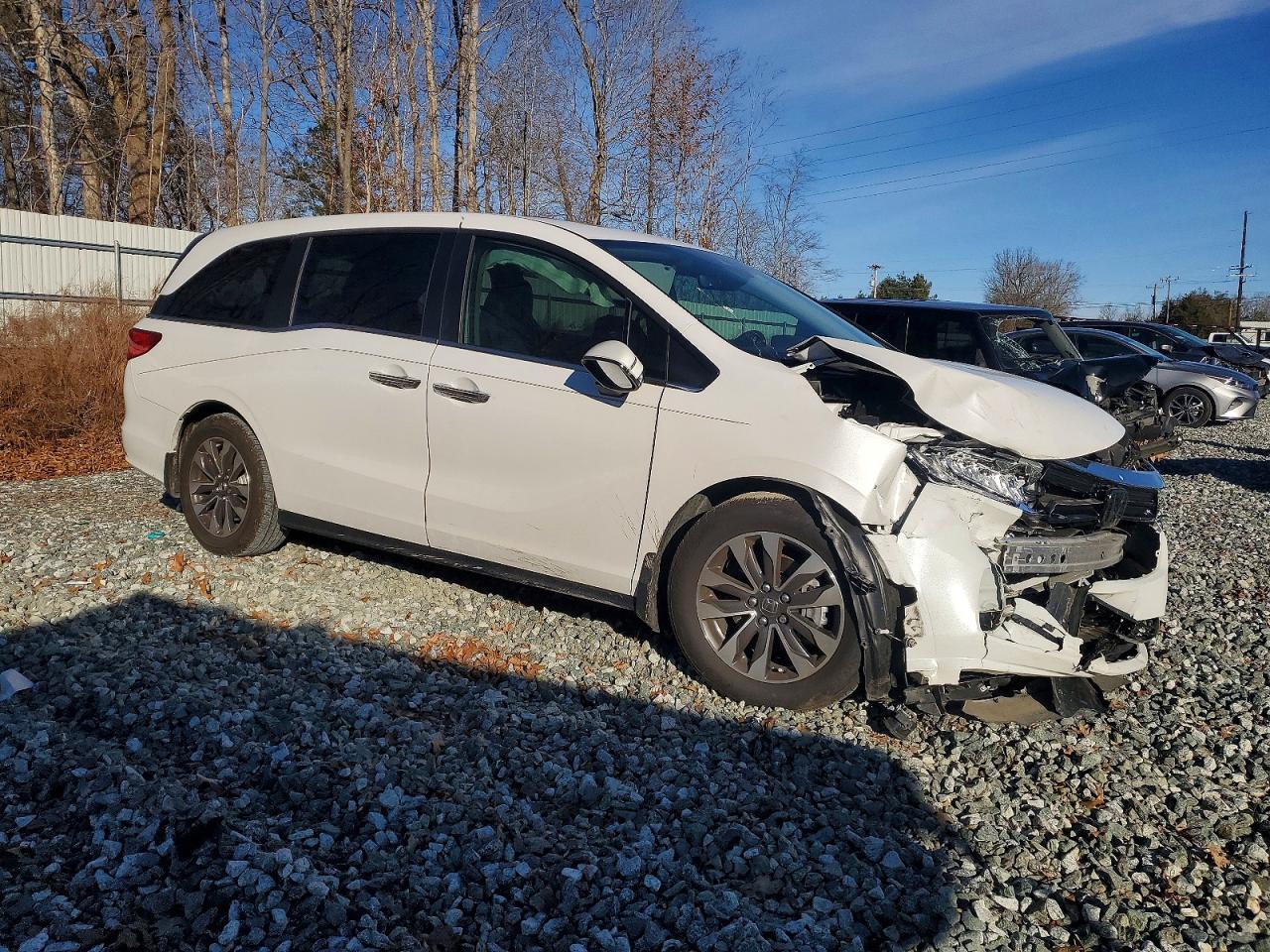2024 Honda All models VIN 5FNRL6H62RB070382 photo 4
