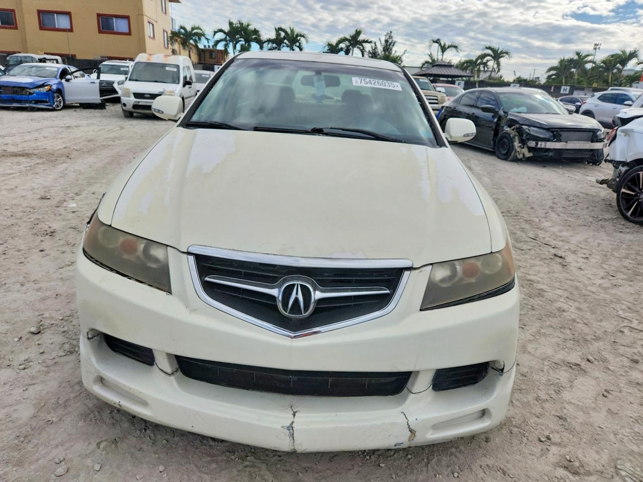2005 Acura Tsx VIN JH4CL96835C010774 photo 5