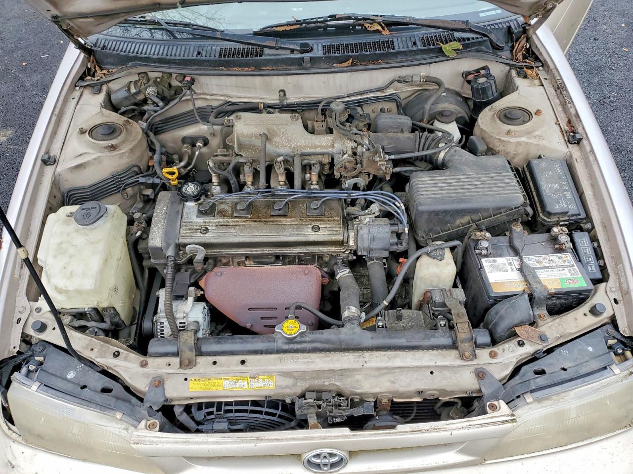 1996 Toyt Corolla VIN 2T1BB02E6TC153925 photo 11