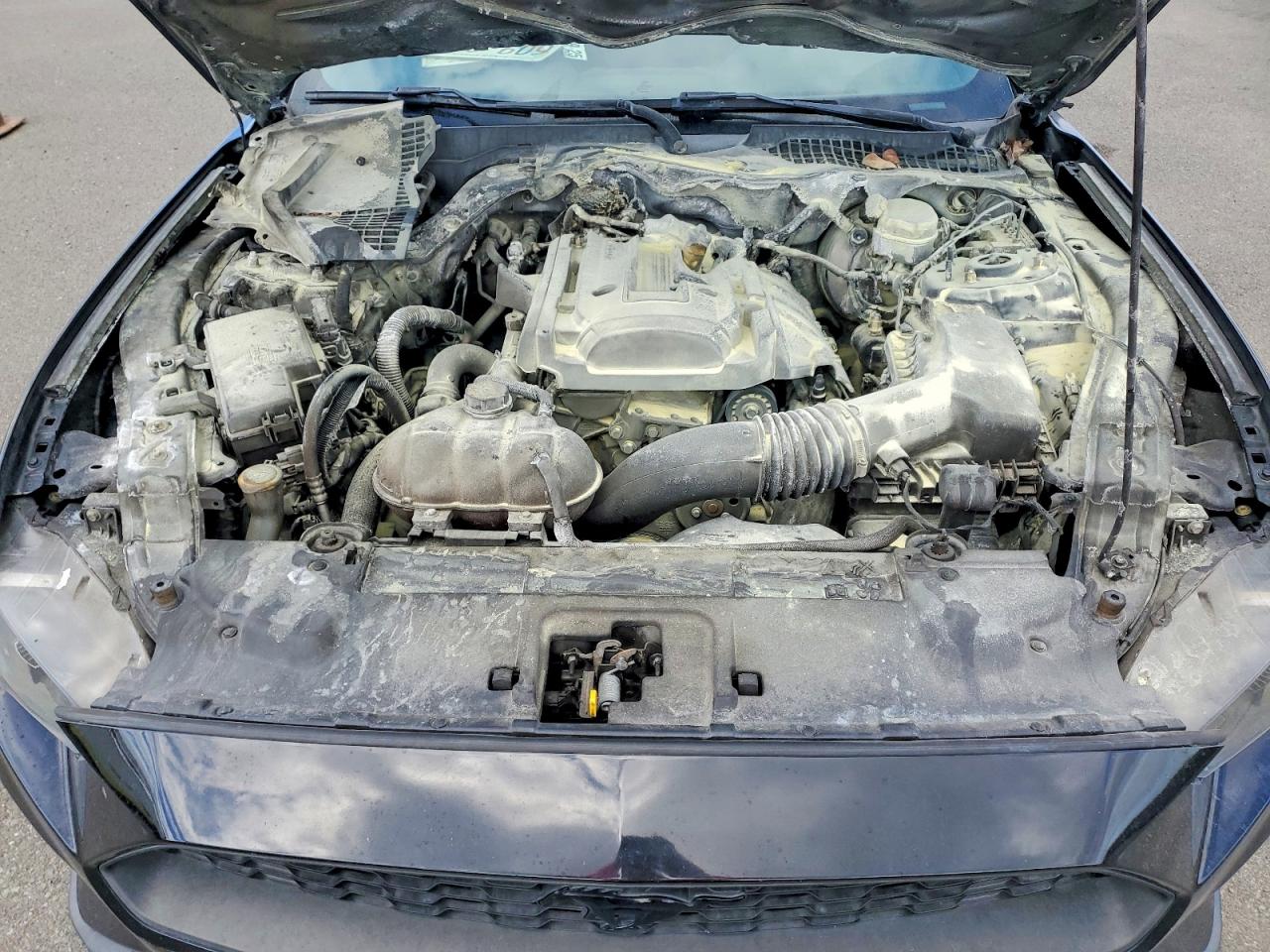 2019 FORD All models VIN 1FA6P8TH5K5148369 photo 11
