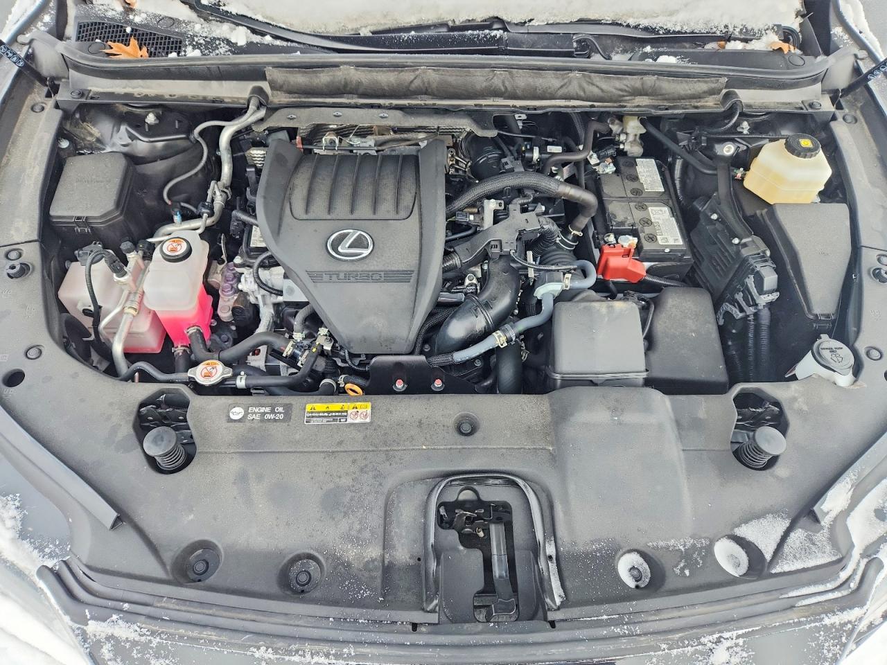 2024 Lexus Rx350 VIN 2T2BAMCA9RC085551 photo 11