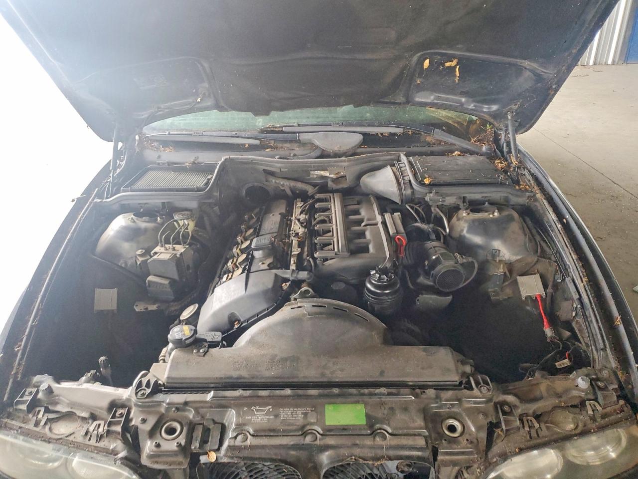 2001 BMW 5 series VIN WBADT43431GF56567 photo 11