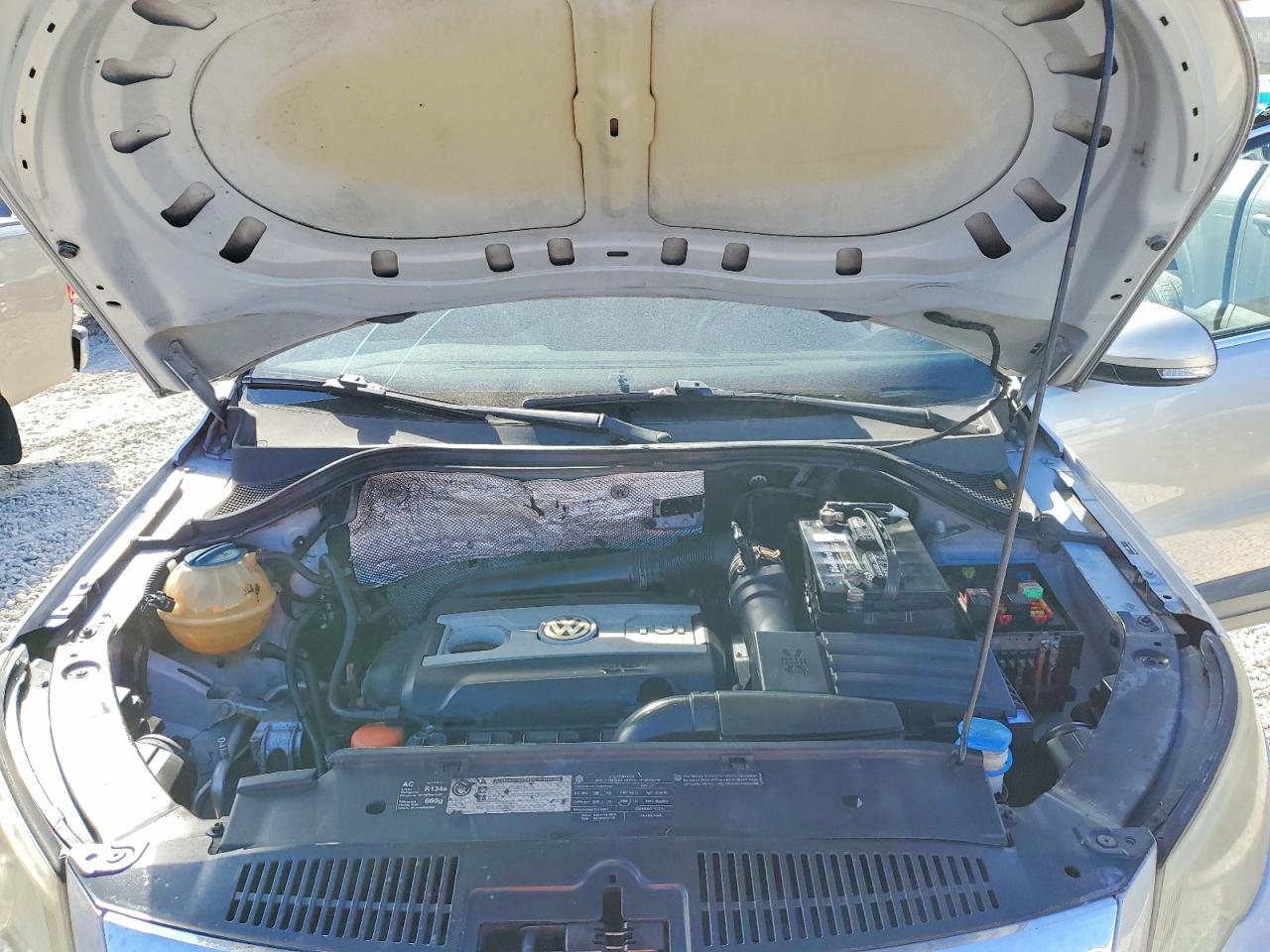 2010 Volkswagen Tiguan VIN WVGBV7AX9AW521775 photo 11