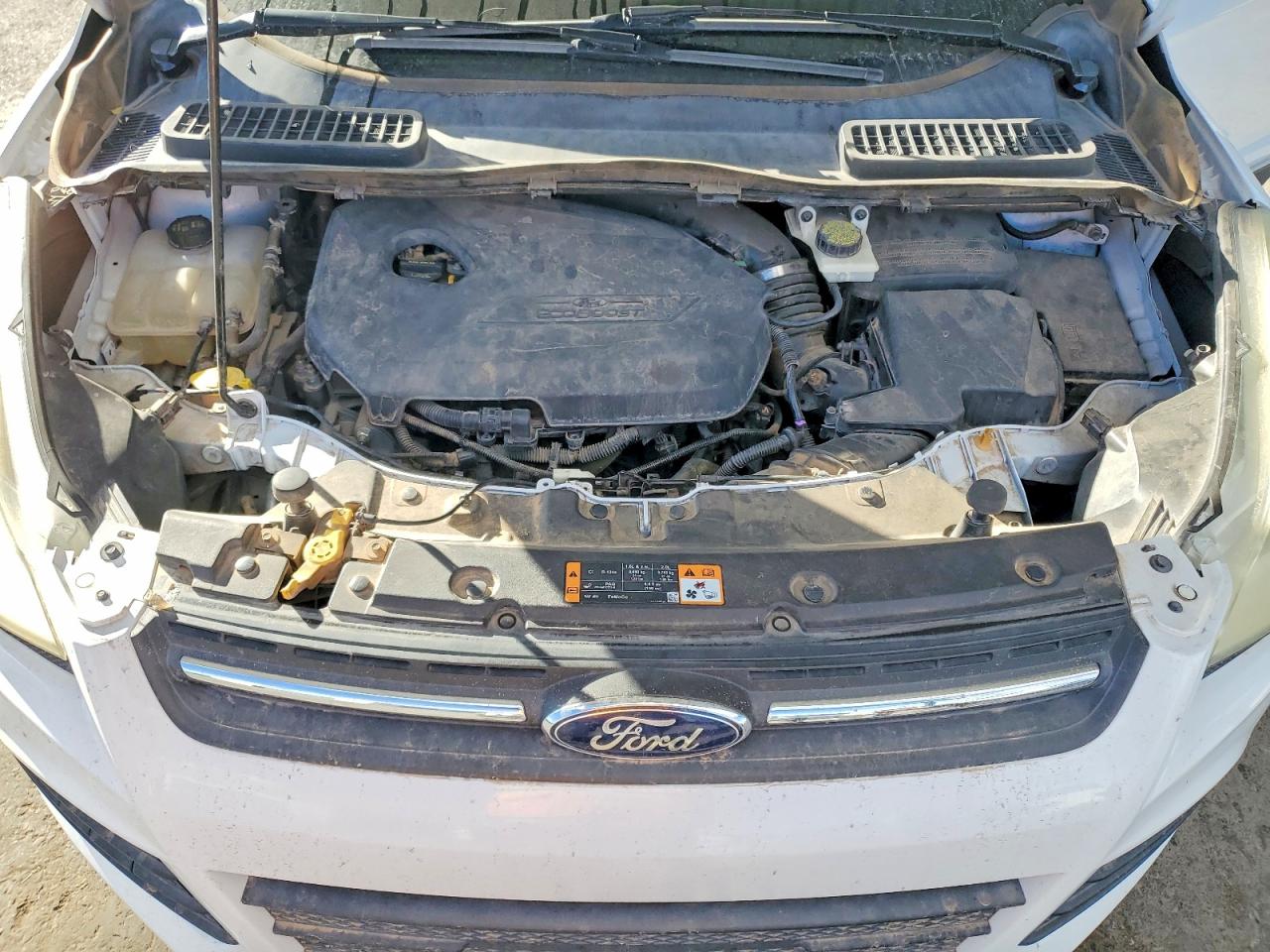 2014 Ford Escape VIN 1FMCU0GX7EUB15968 photo 12