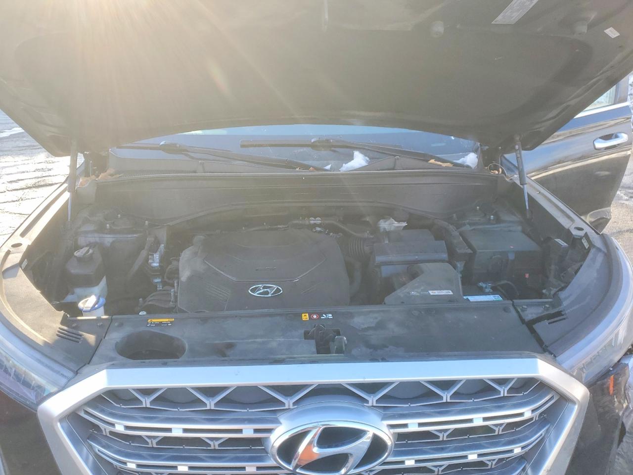 2020 Hyundai Palisade VIN KM8R5DHE6LU076962 photo 12
