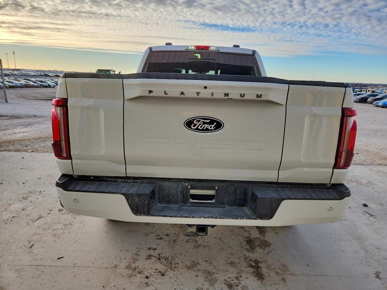 2024 Ford F150 plati VIN 1FTFW7L88RFB20061 photo 6