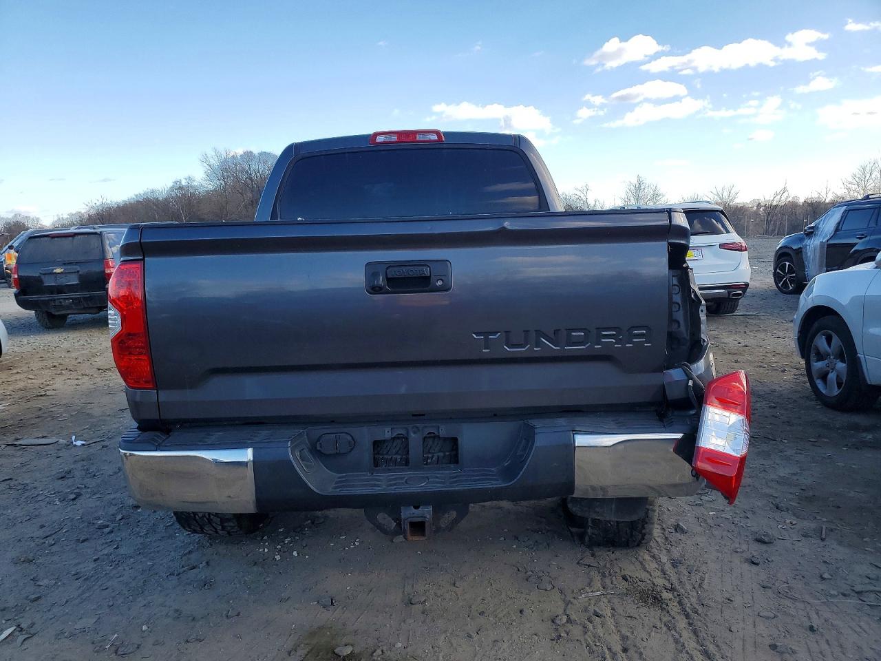 2015 Toyota Tundra VIN 5TFDY5F11FX483635 photo 6