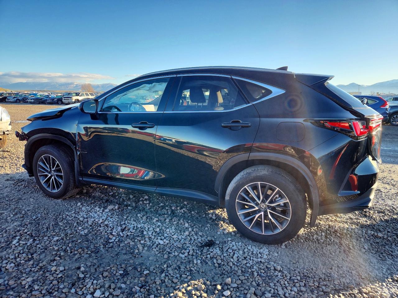 2025 Lexus Nx 350h ba VIN JTJGKCEZ8S2044303 photo 2