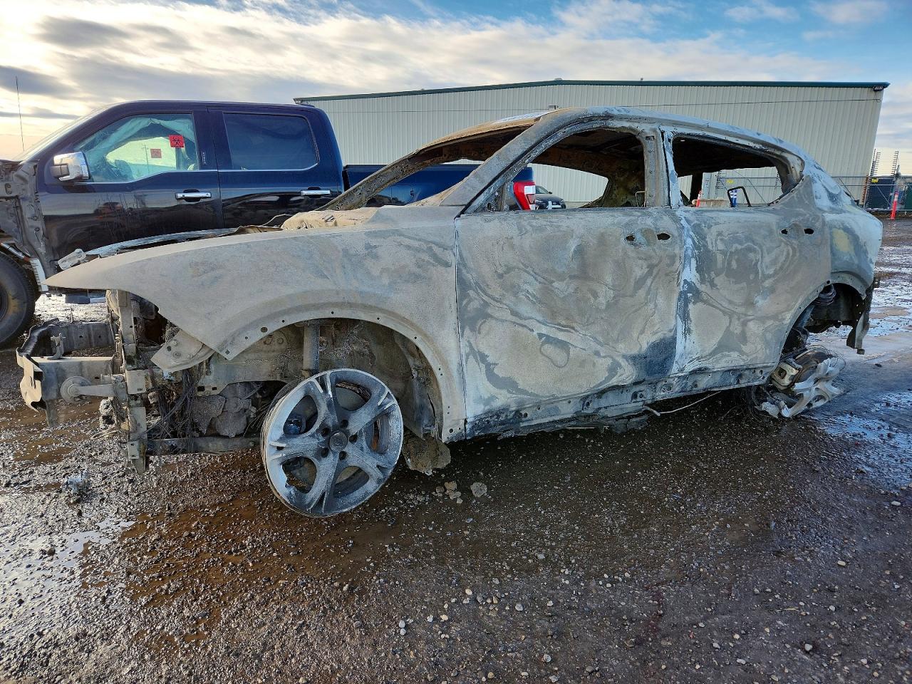 2024 Dodge Hornet gt VIN ZACNDFANXR3A09018 photo 1