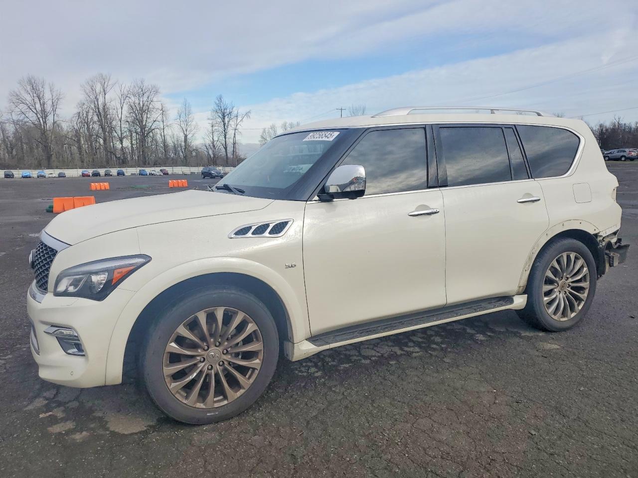 2017 Infiniti Qx80 VIN JN8AZ2NE9H9160173 photo 1
