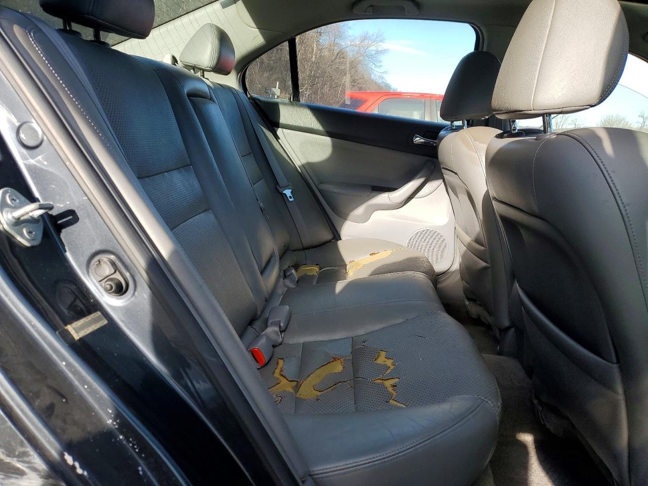 2007 Acura Tsx VIN JH4CL96847C002427 photo 10
