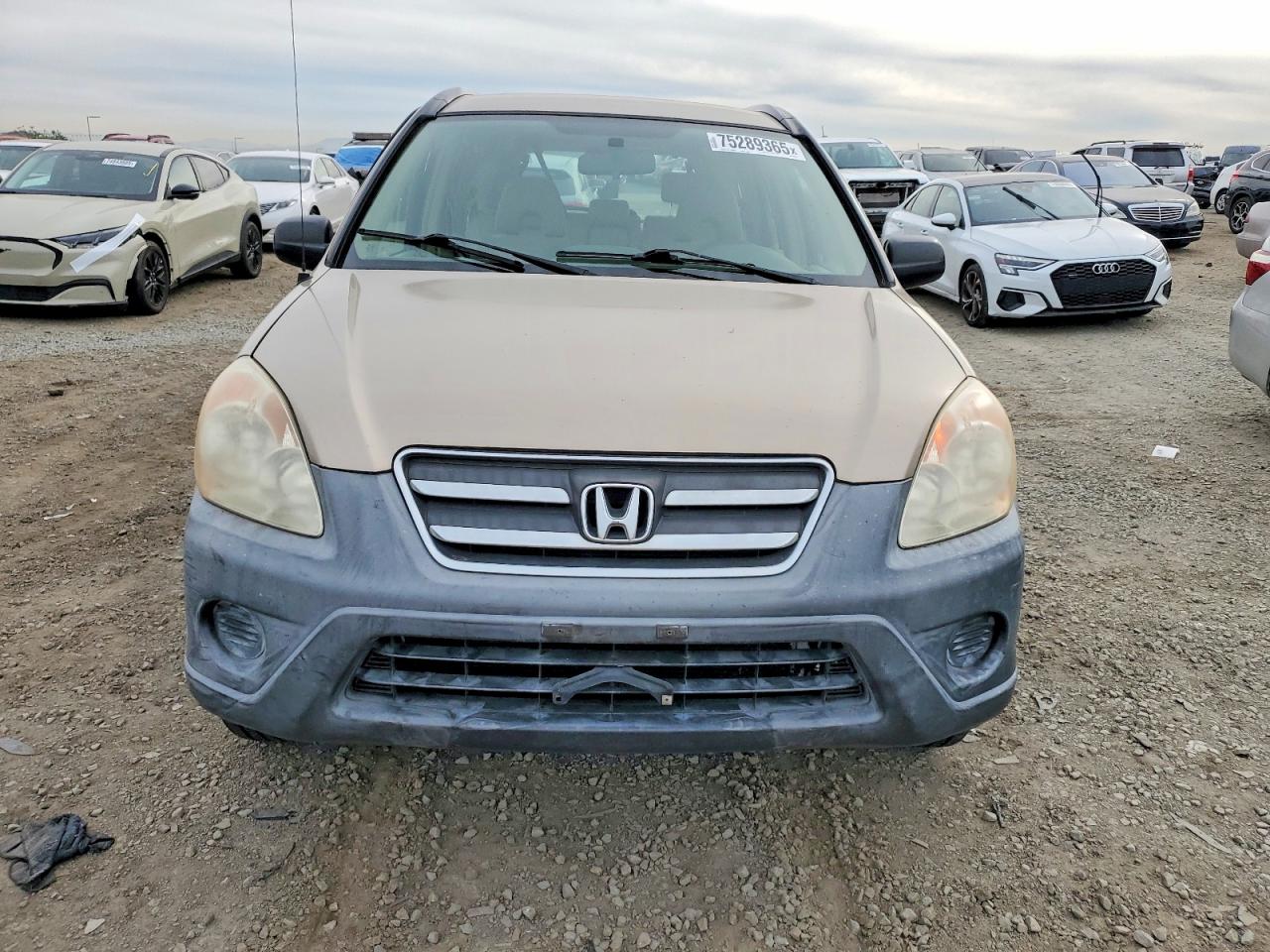 2006 Honda Crv VIN JHLRD68556C027946 photo 5