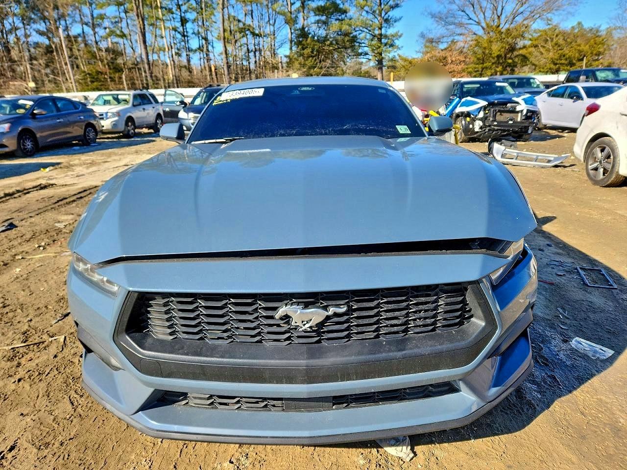 2024 Ford All models VIN 1FA6P8TH7R5131387 photo 5