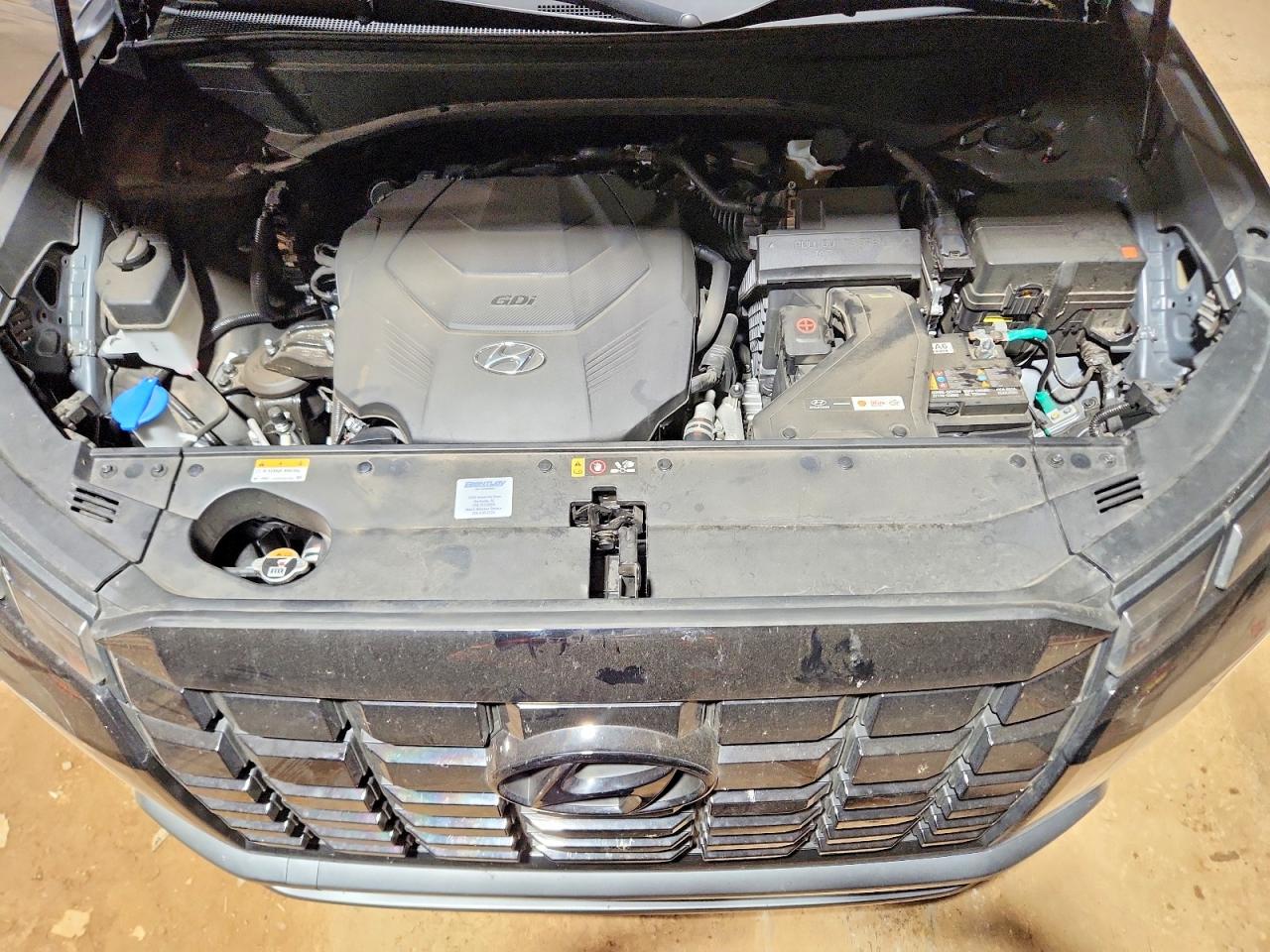 2024 Hyundai Palisade VIN KM8R44GE9RU700573 photo 11