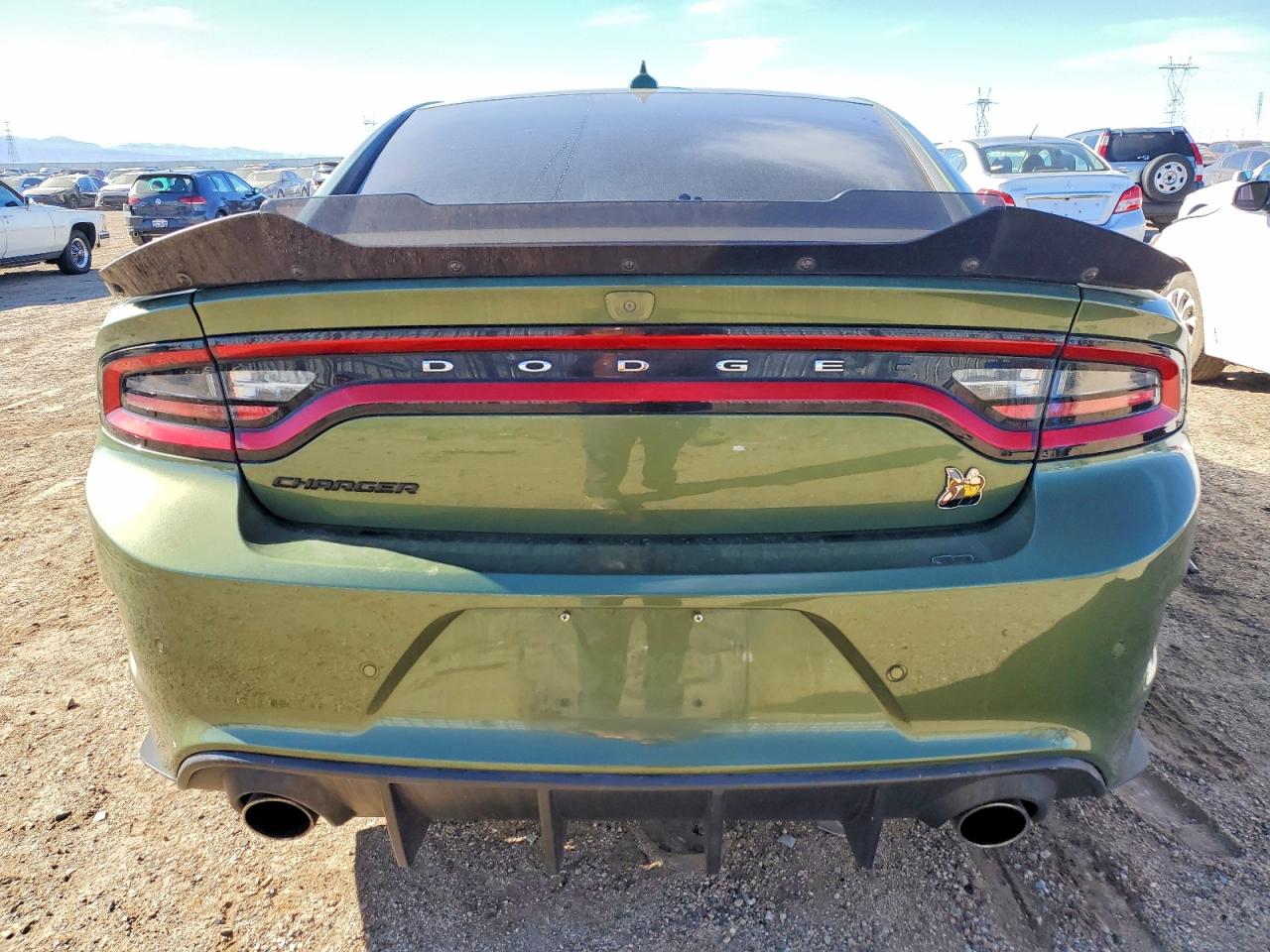 2020 Dodge Charger VIN 2C3CDXGJ1LH244219 photo 6
