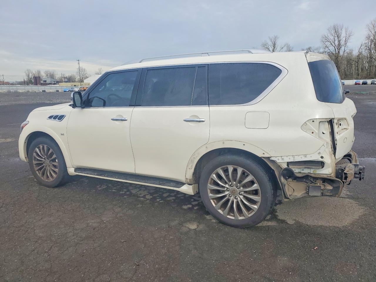 2017 Infiniti Qx80 VIN JN8AZ2NE9H9160173 photo 2