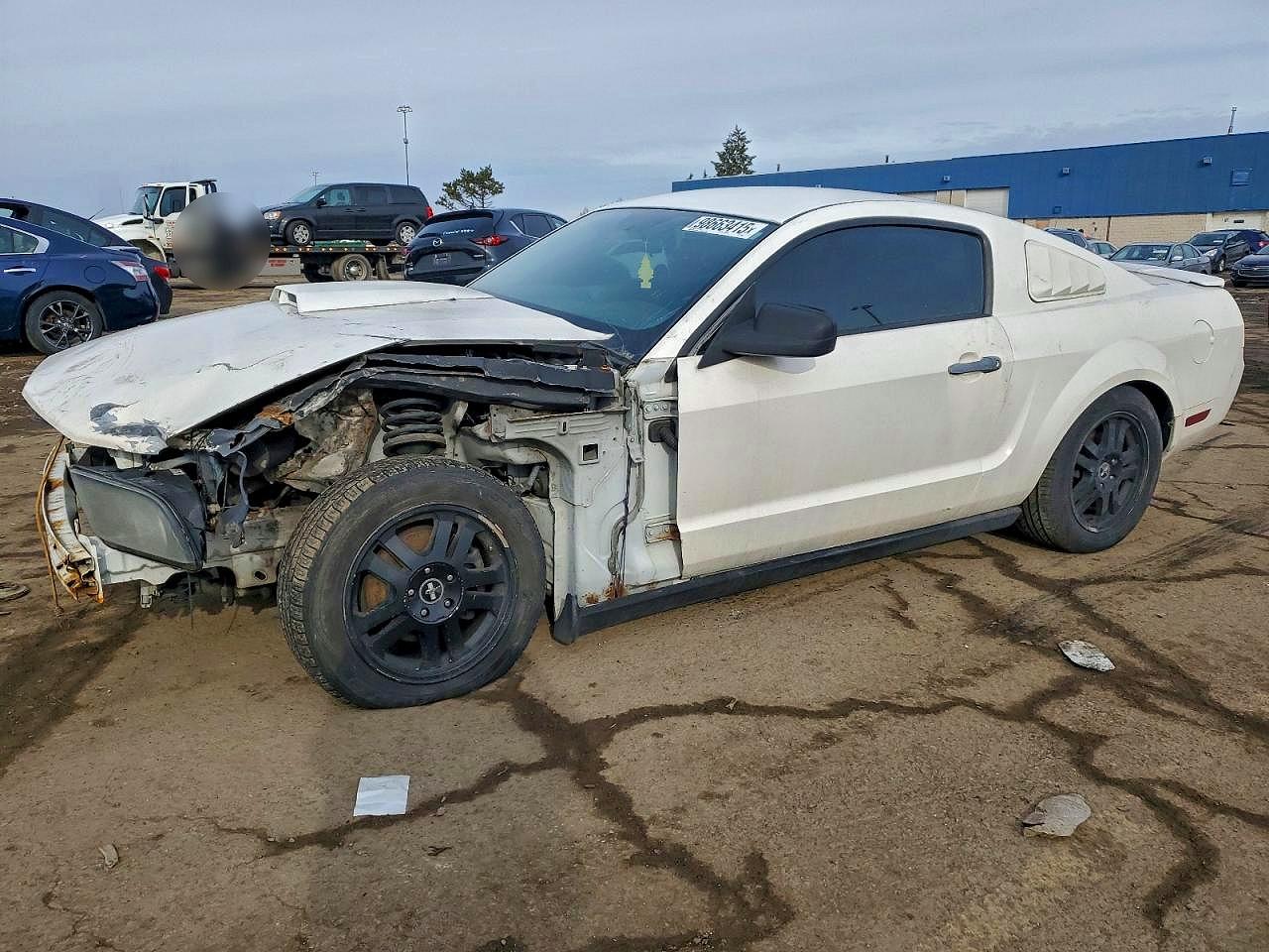 2007 FORD All models VIN 1ZVFT80NX75330959 photo 1