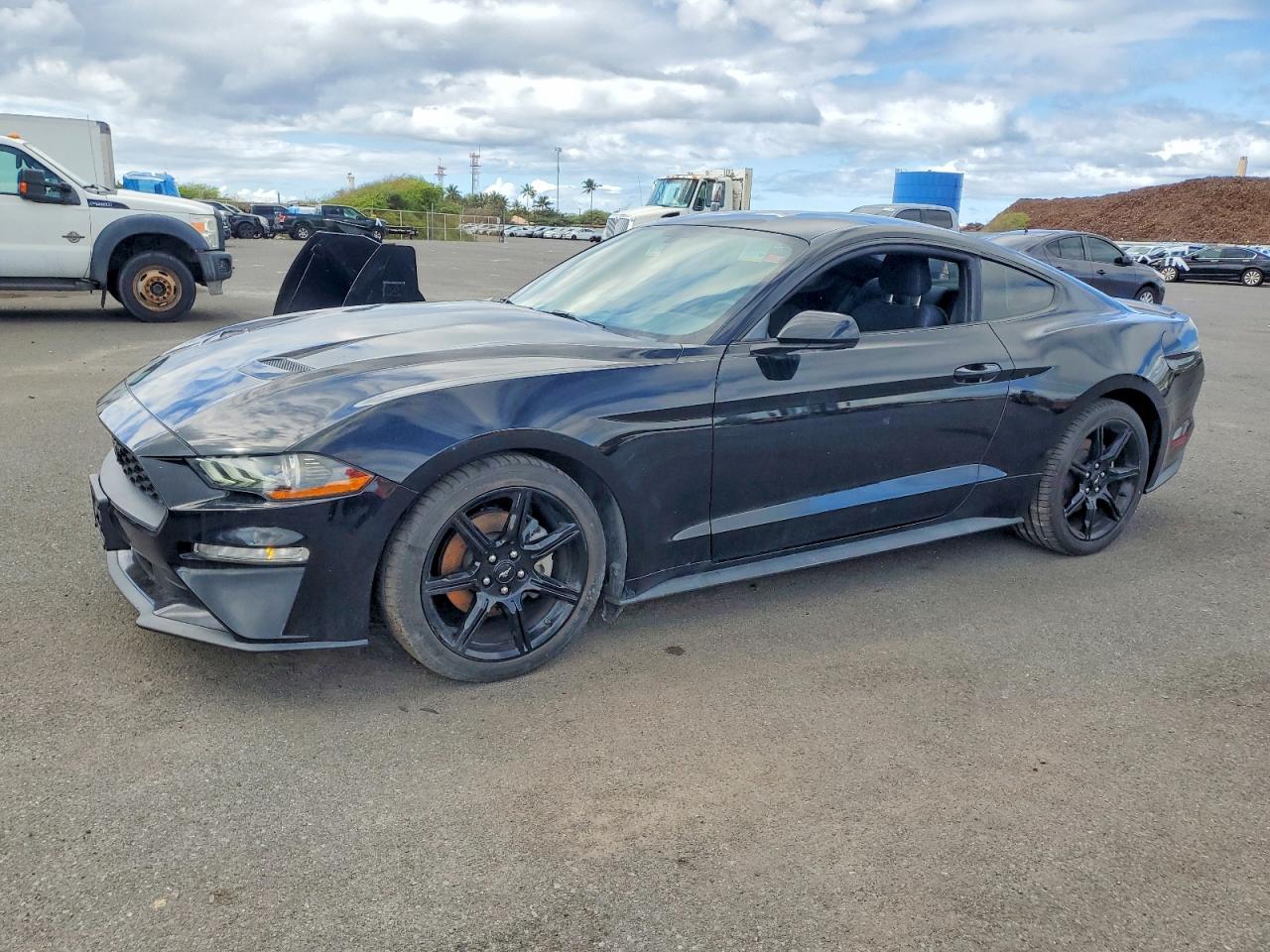 2019 FORD All models VIN 1FA6P8TH5K5148369 photo 1