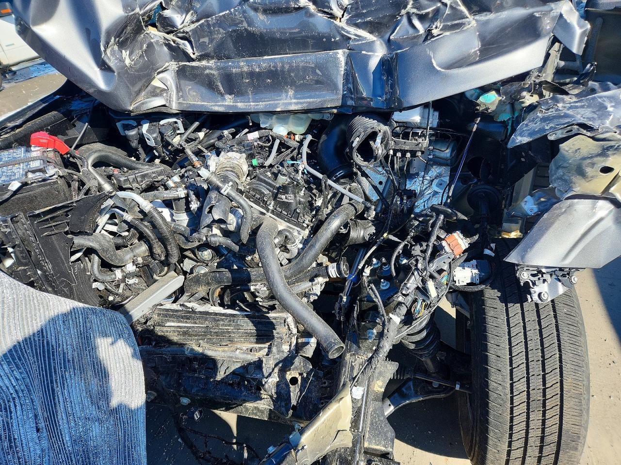 2025 Ford F150 stx VIN 1FTEX2KP4SKF19311 photo 11