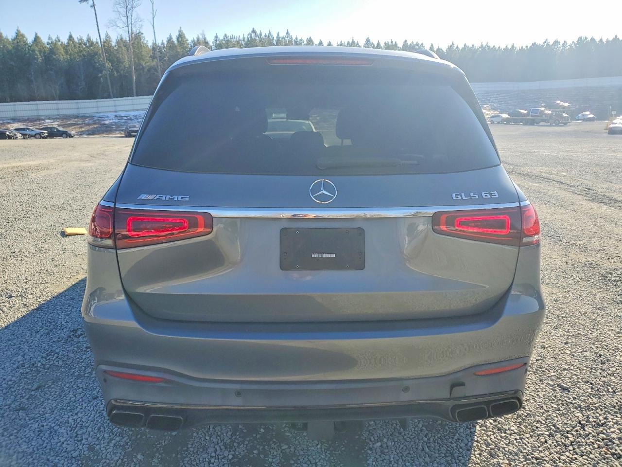 2021 Mercedes-Benz Gls-class VIN 4JGFF8KE3MA381077 photo 6