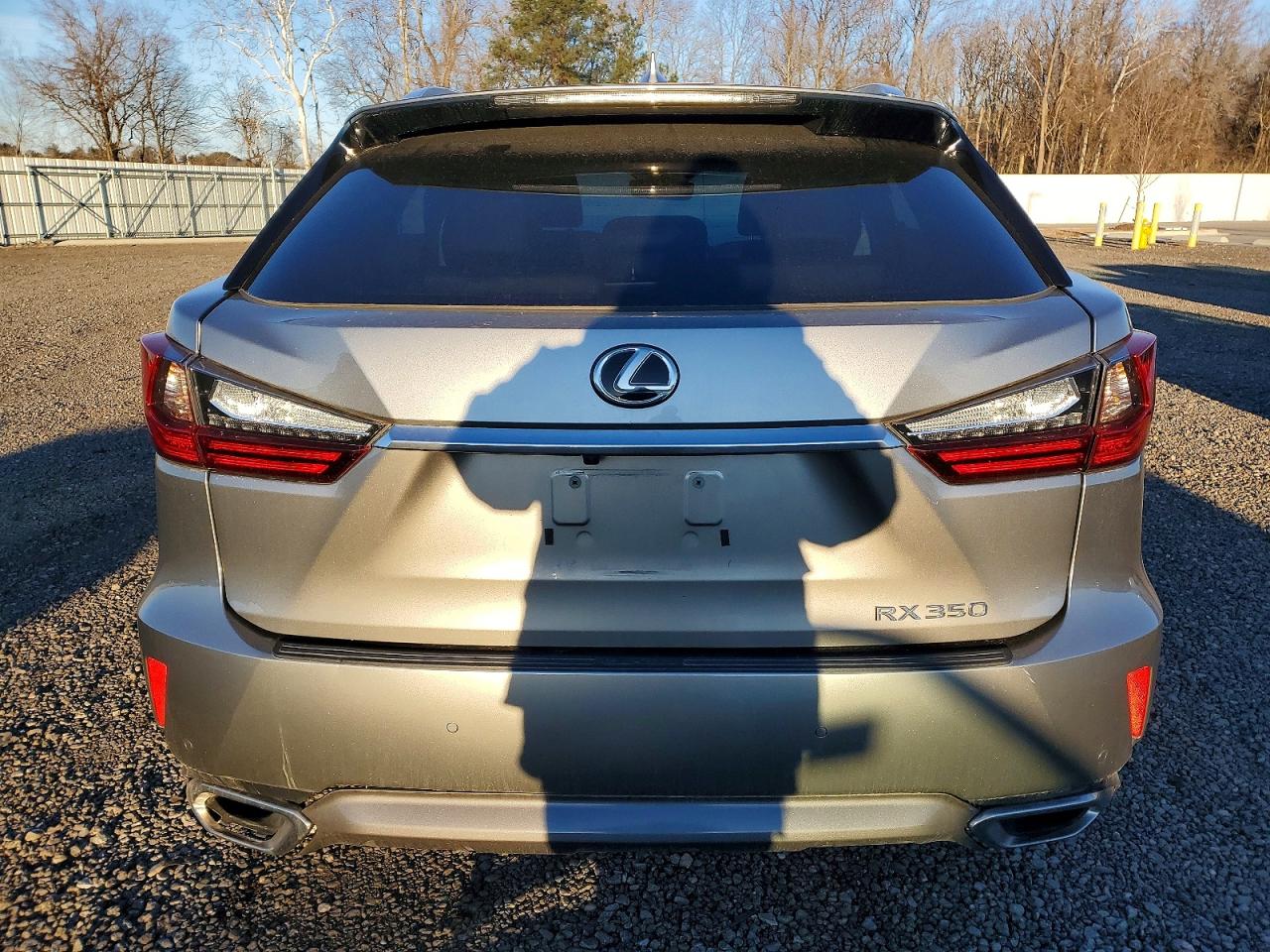 2017 Lexus Rx350 VIN 2T2BZMCAXHC067065 photo 6