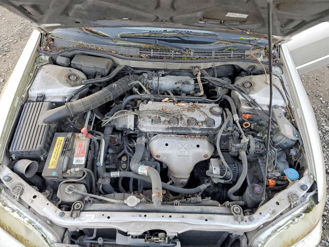 1998 Honda Accord VIN 1HGCG5659WA128282 photo 11