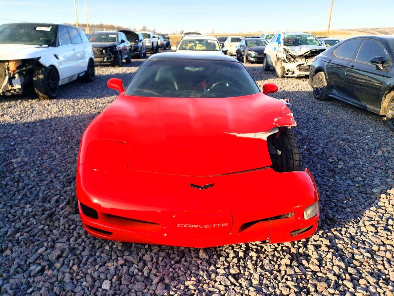 2002 CHEV Corvette VIN 1G1YY22G125120258 photo 5