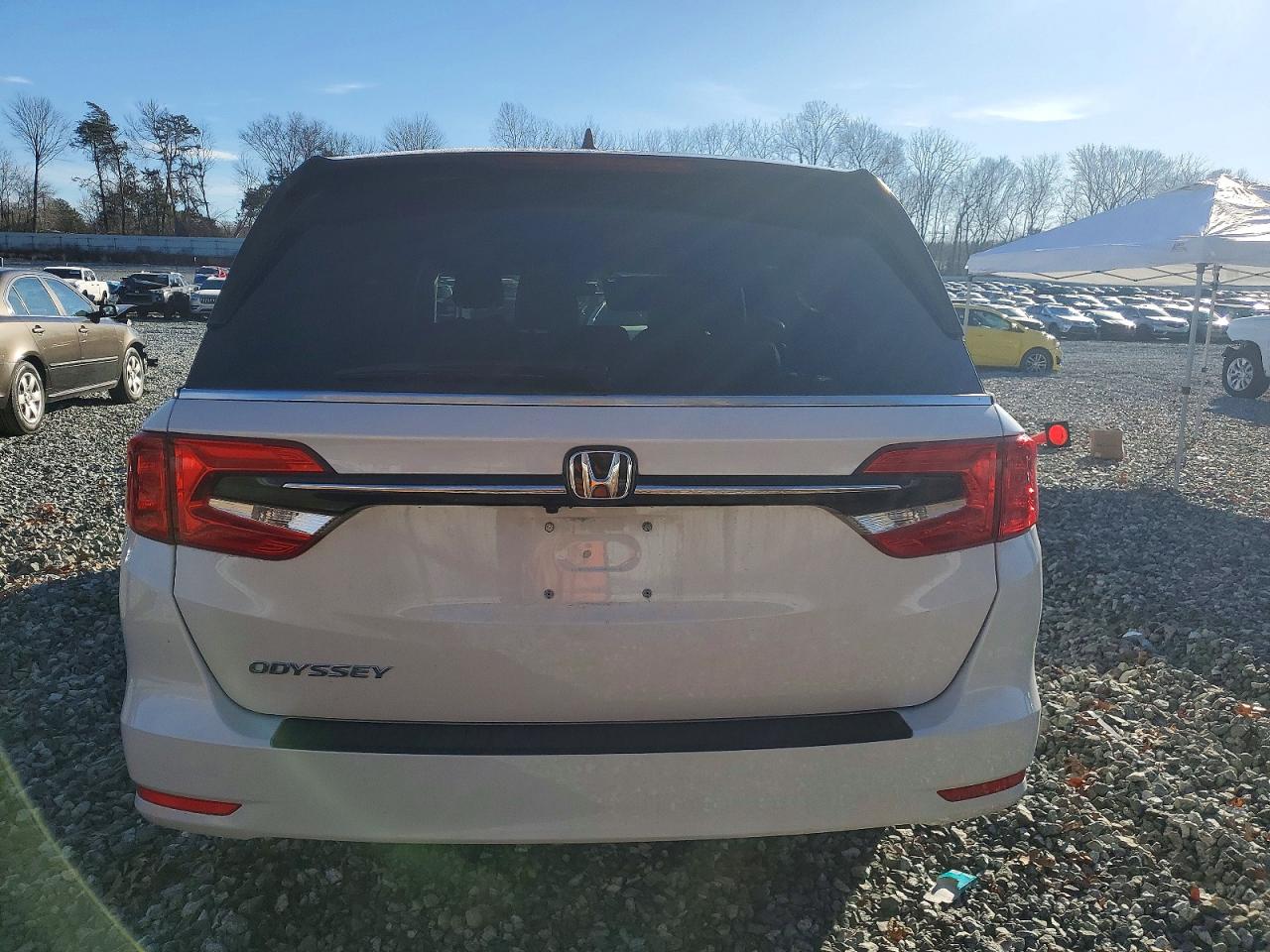 2024 Honda All models VIN 5FNRL6H62RB070382 photo 6